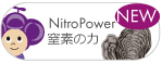 ナイトロパワーDSP
